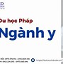 Du Học Hungary Nền Học Ngành Gì 2024 Tphcm Tốt