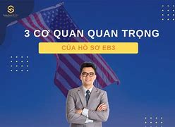 Lc Trong Hồ Sơ Eb3 Là Gì